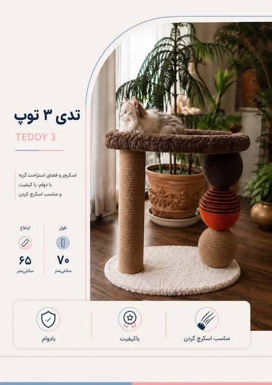 اسکراچر طرح تدی 3 توپ طول 70 ارتفاع65